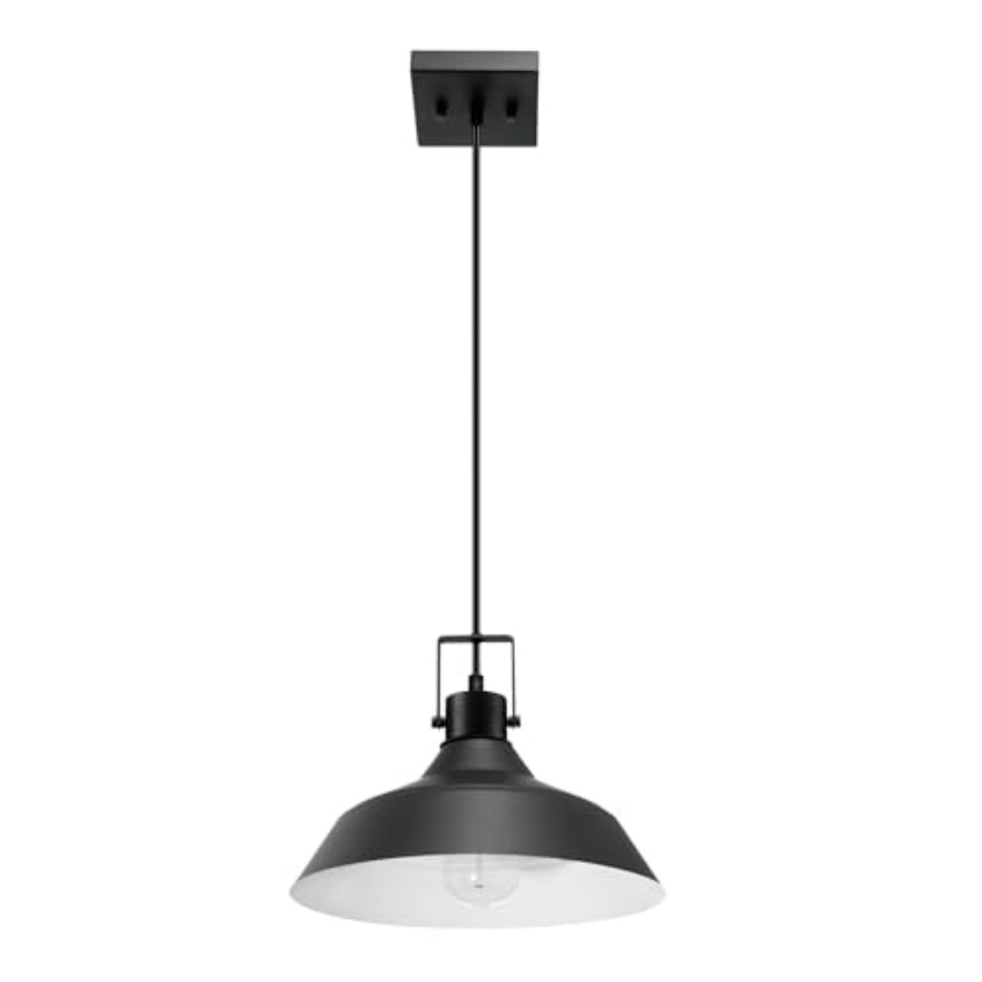 Outdoor Lighting Socket - 44476 1-Light Indoor/Outdoor Pendant Light, Matte