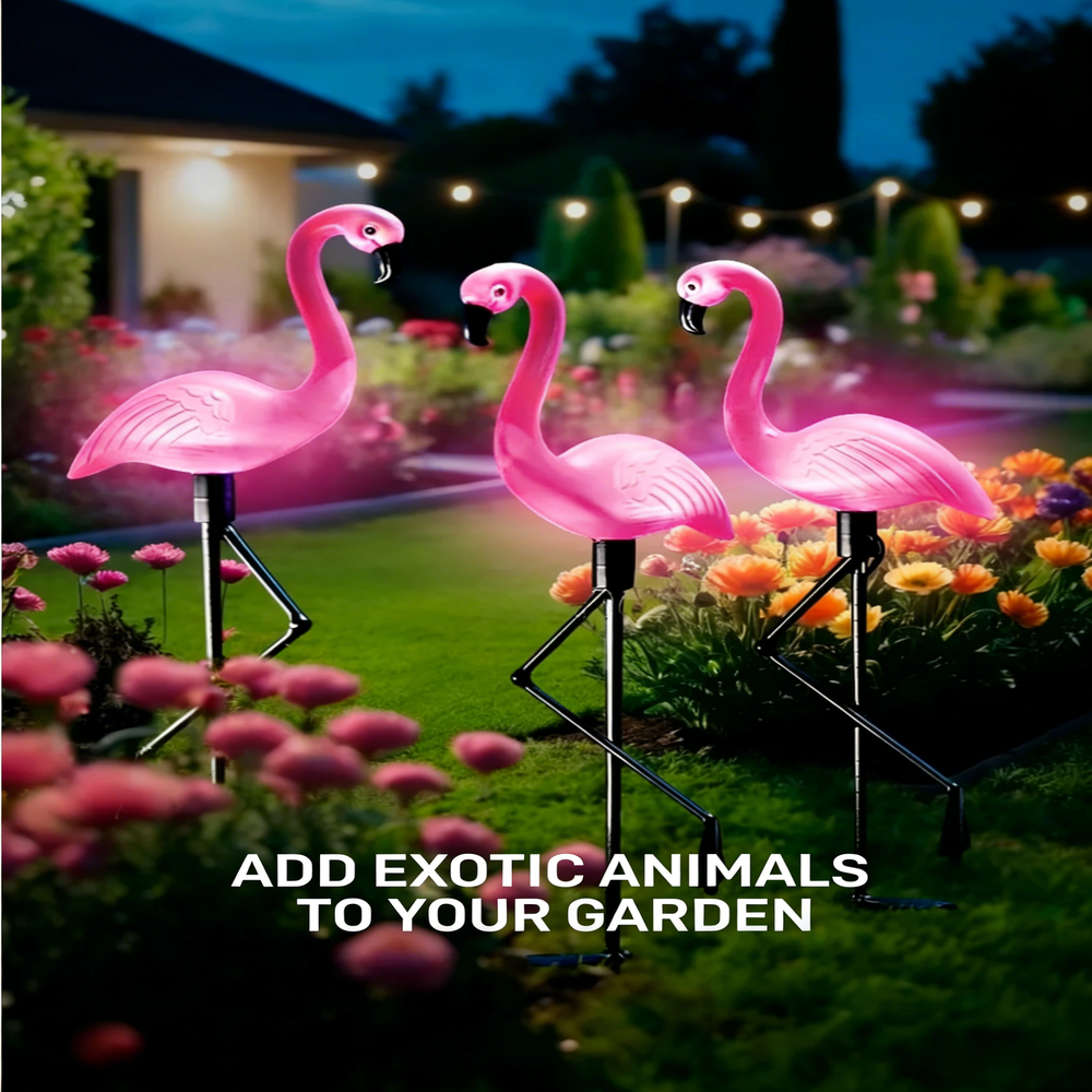 3Pcs Solar Powered Flamingo Gr - огляд і ціна Outdoor Lighting Manufacturers