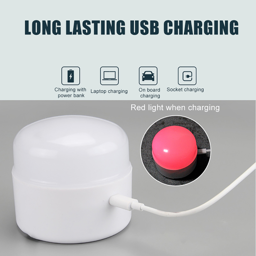 Led Outdoor Camping Lights Por - огляд і ціна Outdoor Lighting On Trees