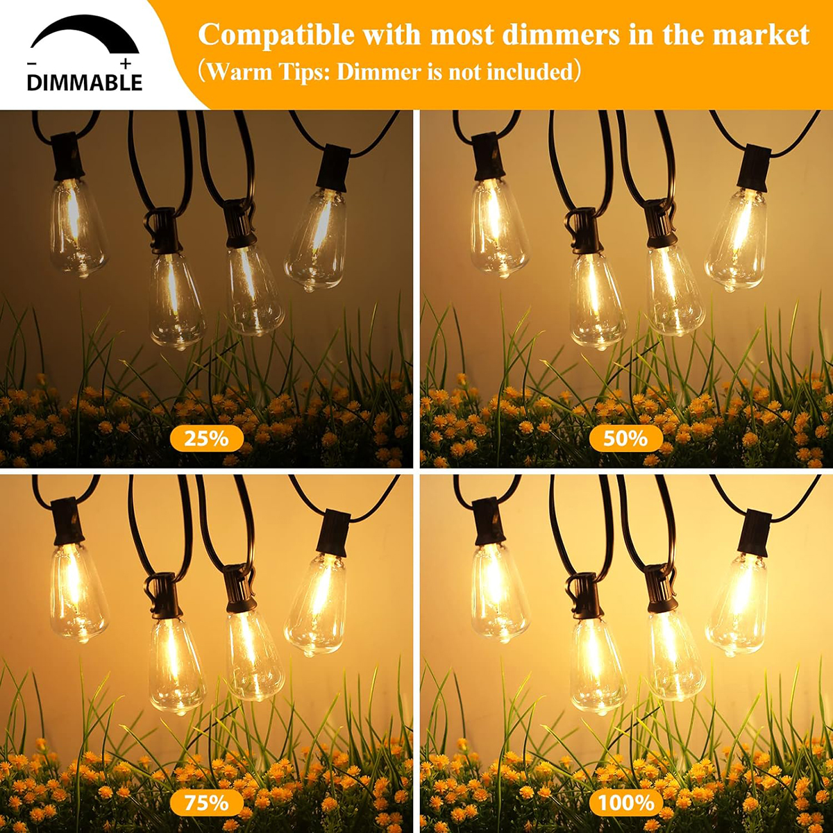 LED String Lights LED Outdoor  - огляд і ціна Outdoor Lighting Driveway